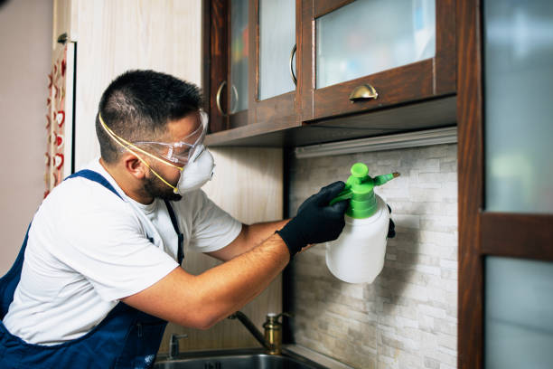 Best Termite Control Services  in Cornwells Heights, PA