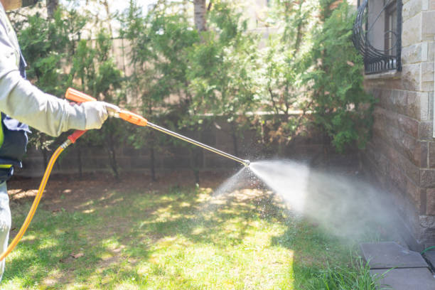 Bird Control in Cornwells Heights, PA